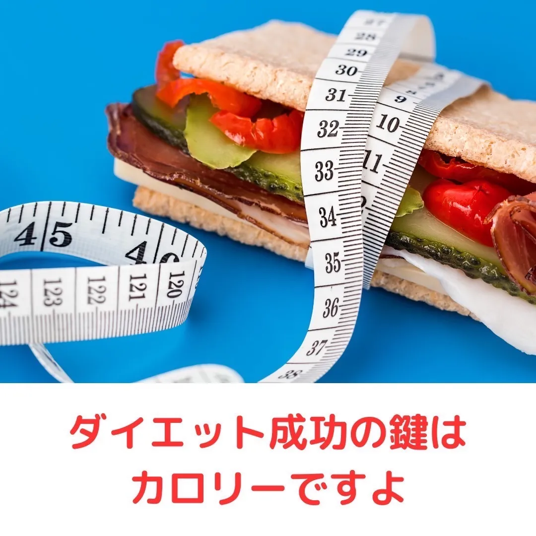 BodyRulersダイアリー秦野店【2023年5月16日（火）】摂取カロリーを抑えることがダイエット成功への鍵です、痩せれないというそこのあなた、摂取カロリーをちゃんと把握出来てますか？